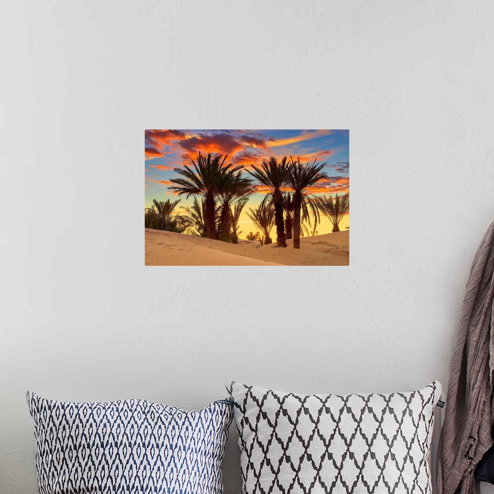 A bohemian room featuring Morocco, South Morocco, Sahara Desert, Erg Chebbi Desert, Merzouga, Palm trees at sunset.