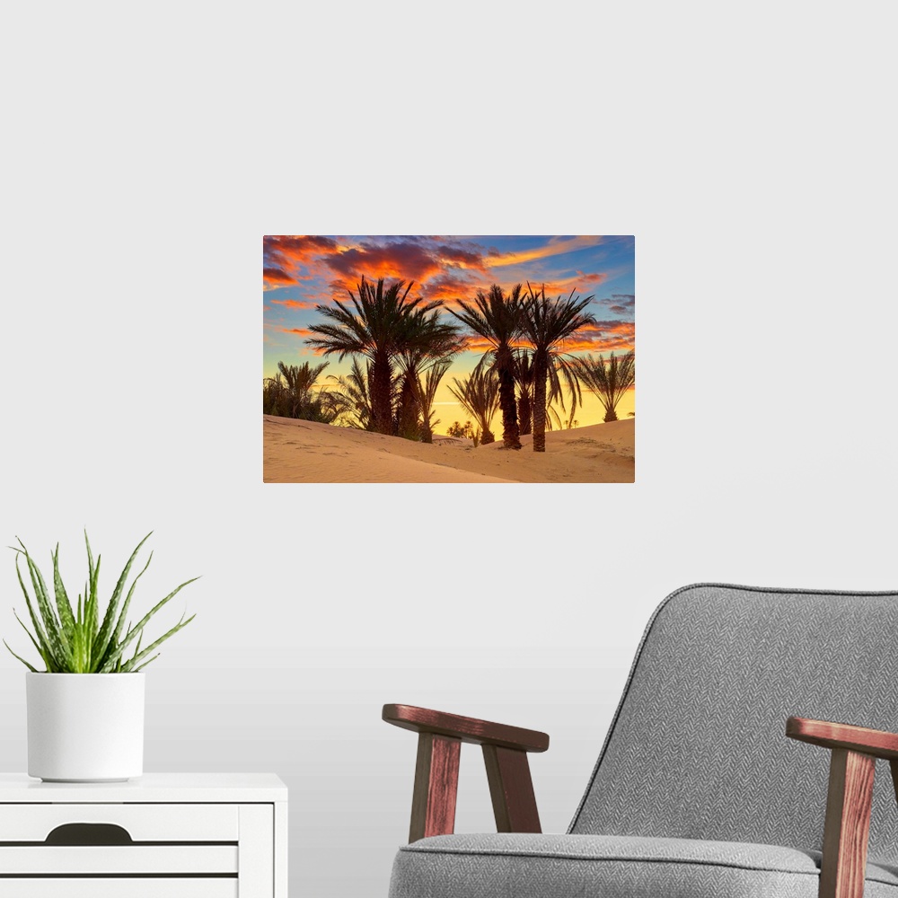 A modern room featuring Morocco, South Morocco, Sahara Desert, Erg Chebbi Desert, Merzouga, Palm trees at sunset.
