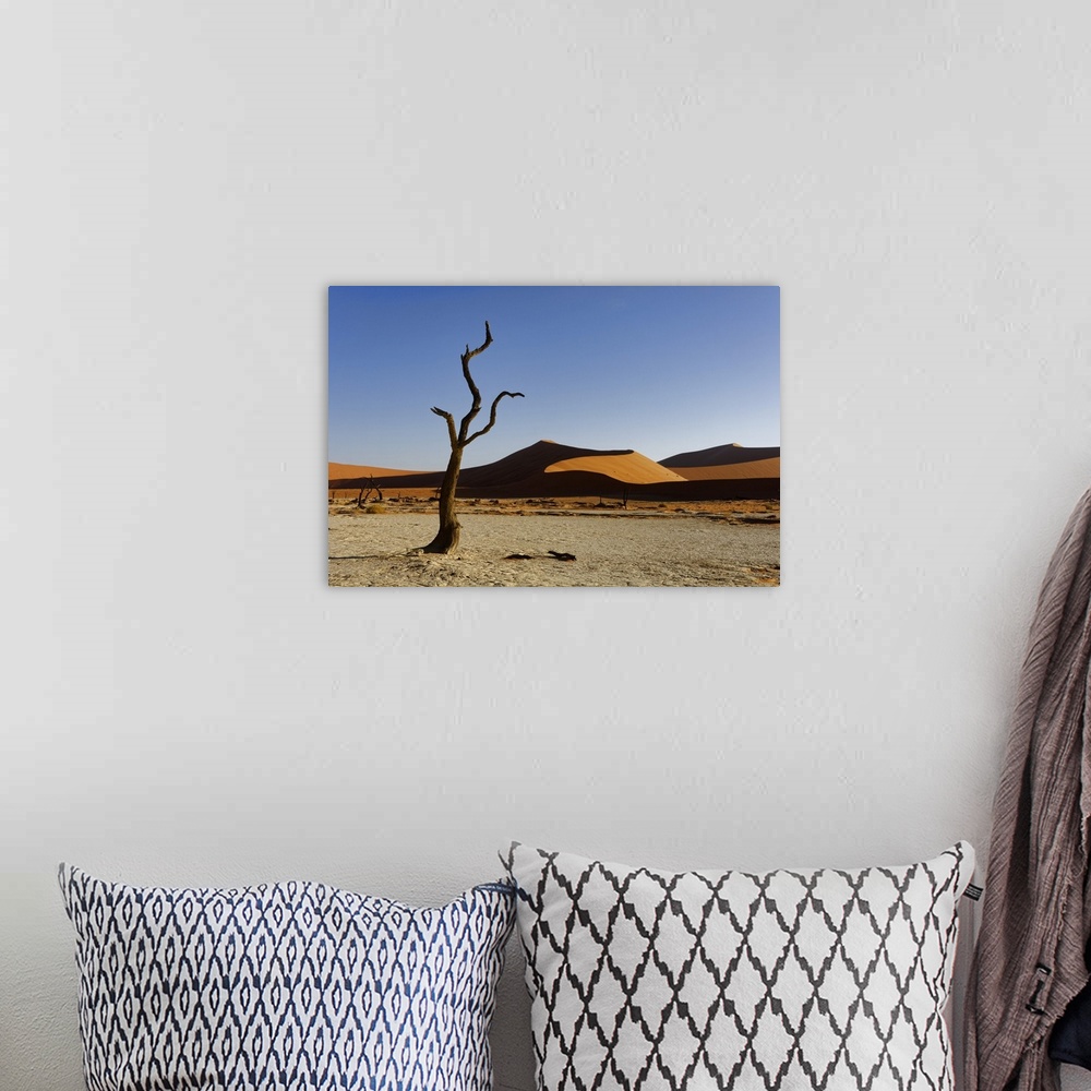 A bohemian room featuring Namibia, Hardap, Sossusvlei, Namib-Naukluft National Park, Dead camel thorn tree (Vachellia eriol...
