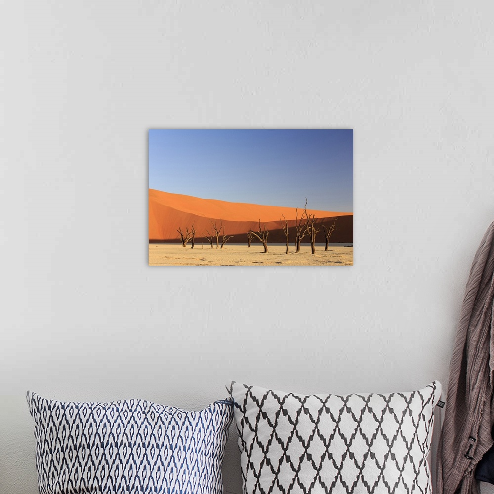 A bohemian room featuring Namibia, Hardap, Sossusvlei, Namib Desert, Namib-Naukluft National Park, Deadvlei