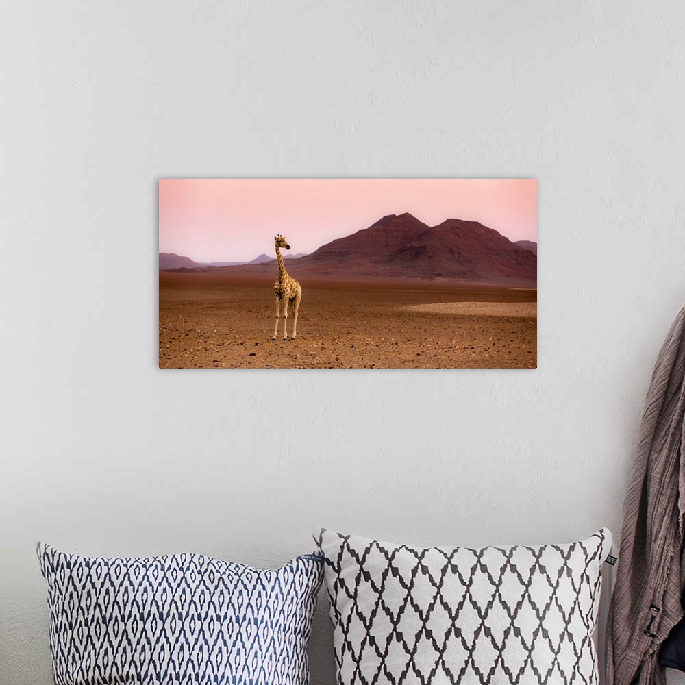 A bohemian room featuring Namibia, Kunene, Etosha National Park, Desert giraffe at sunrise from Purros in an extra-terrestr...