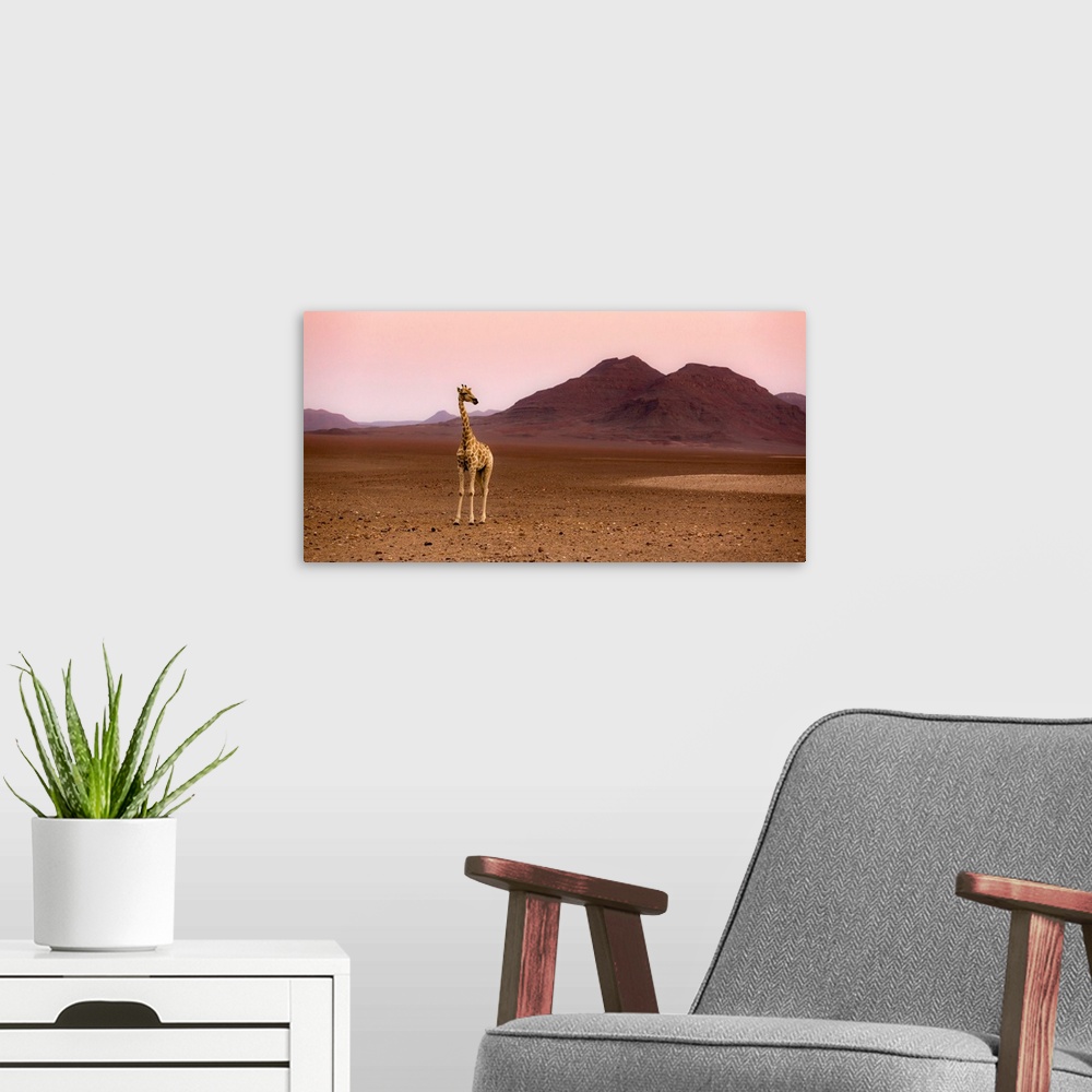 A modern room featuring Namibia, Kunene, Etosha National Park, Desert giraffe at sunrise from Purros in an extra-terrestr...