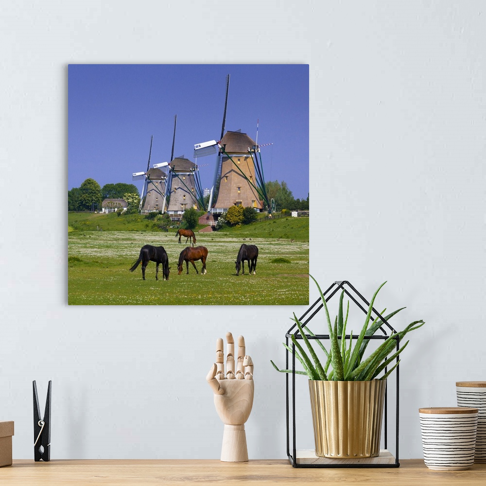 A bohemian room featuring Netherlands, South Holland, Benelux, Leidschendam, Windmill and horses.