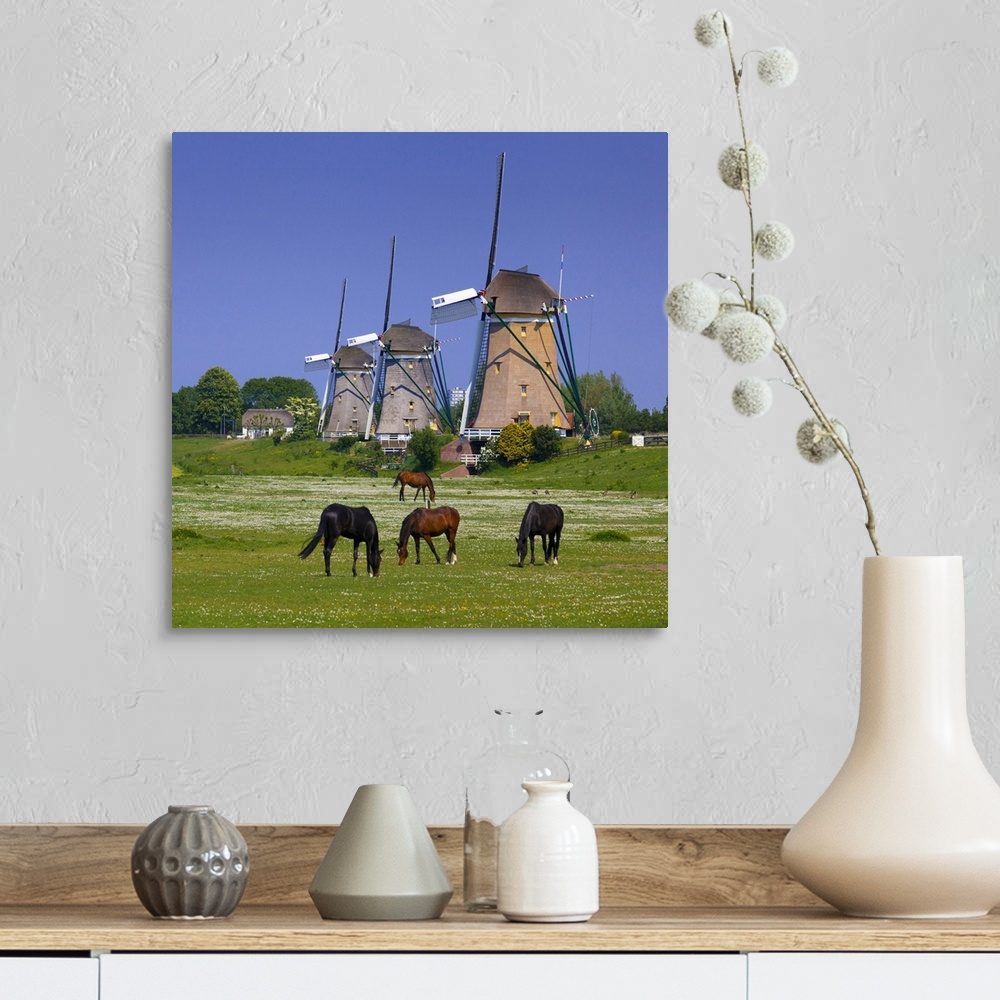 A farmhouse room featuring Netherlands, South Holland, Benelux, Leidschendam, Windmill and horses.