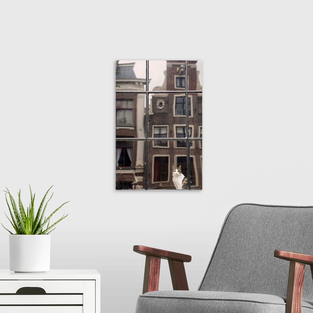 A modern room featuring Netherlands, Nederland, North Holland, Noord-Holland, Amsterdam, Cat by window and reflection of ...