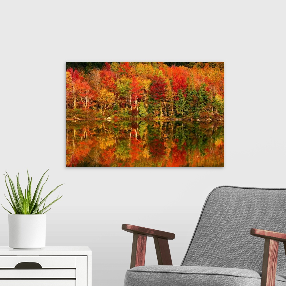 A modern room featuring New Hampshire, New England, White Mountains, Echo Lake in autumn