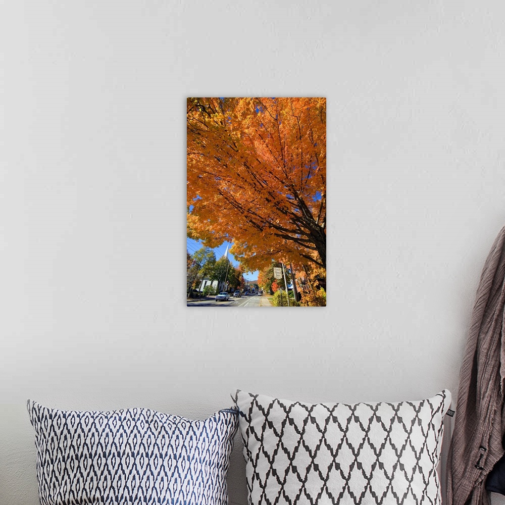 A bohemian room featuring New Hampshire, North Conway, White Mountains, The main road in autumn