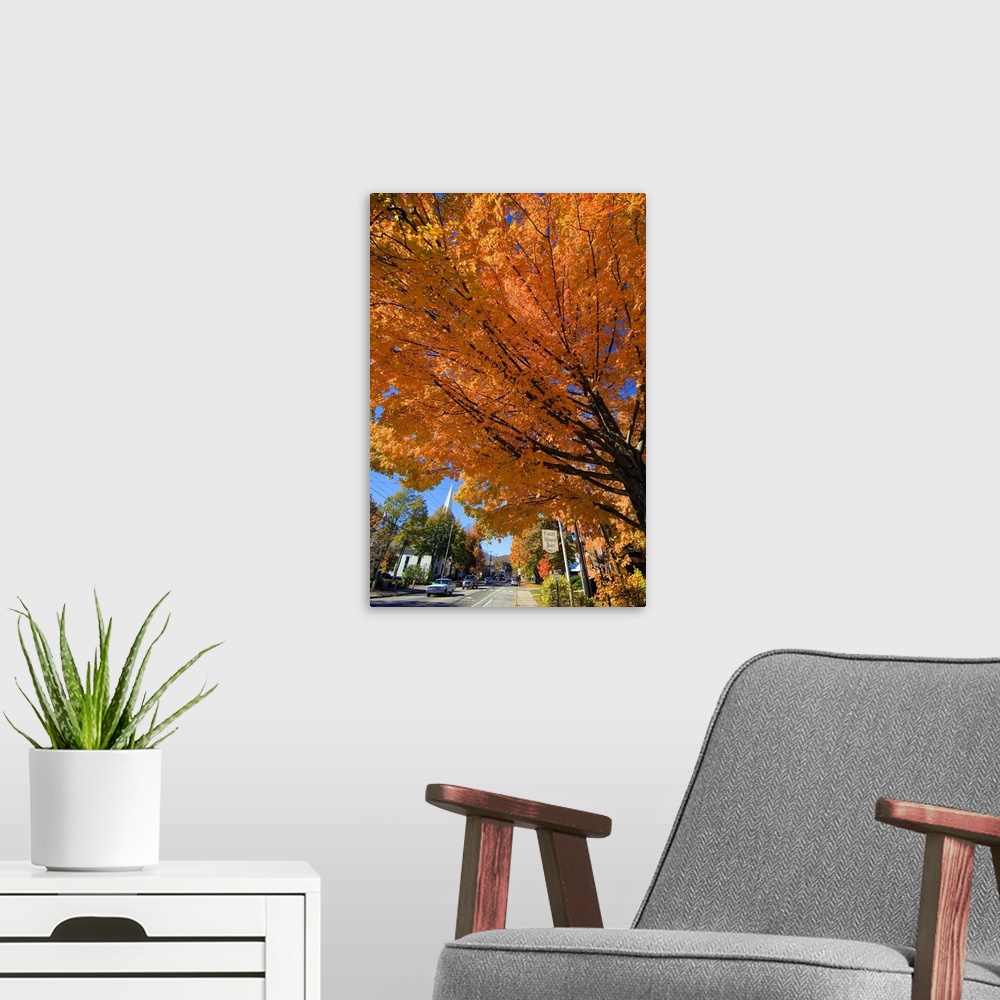 A modern room featuring New Hampshire, North Conway, White Mountains, The main road in autumn
