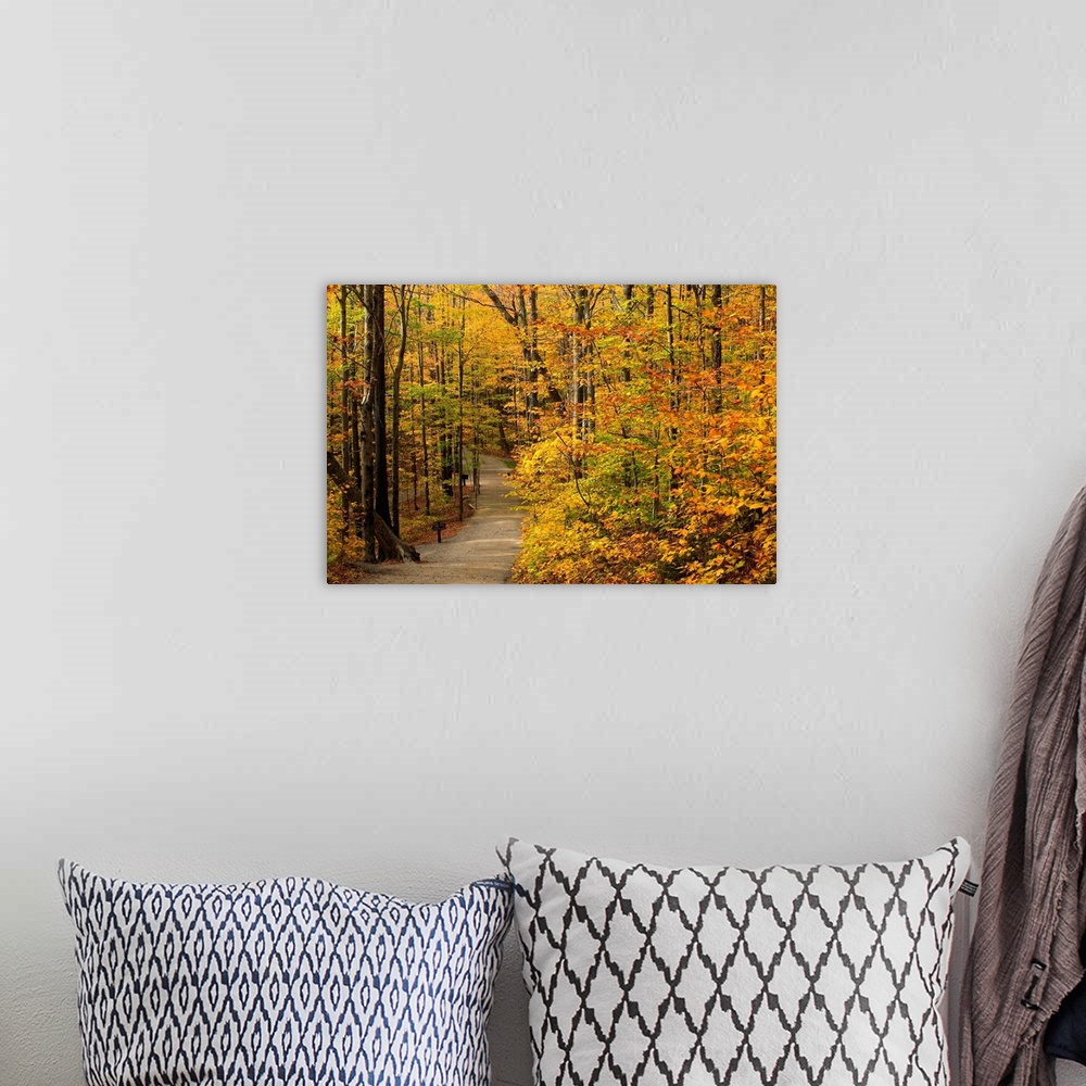 A bohemian room featuring New Hampshire, New England, White Mountains, The Flume Gorge, The path in autumn