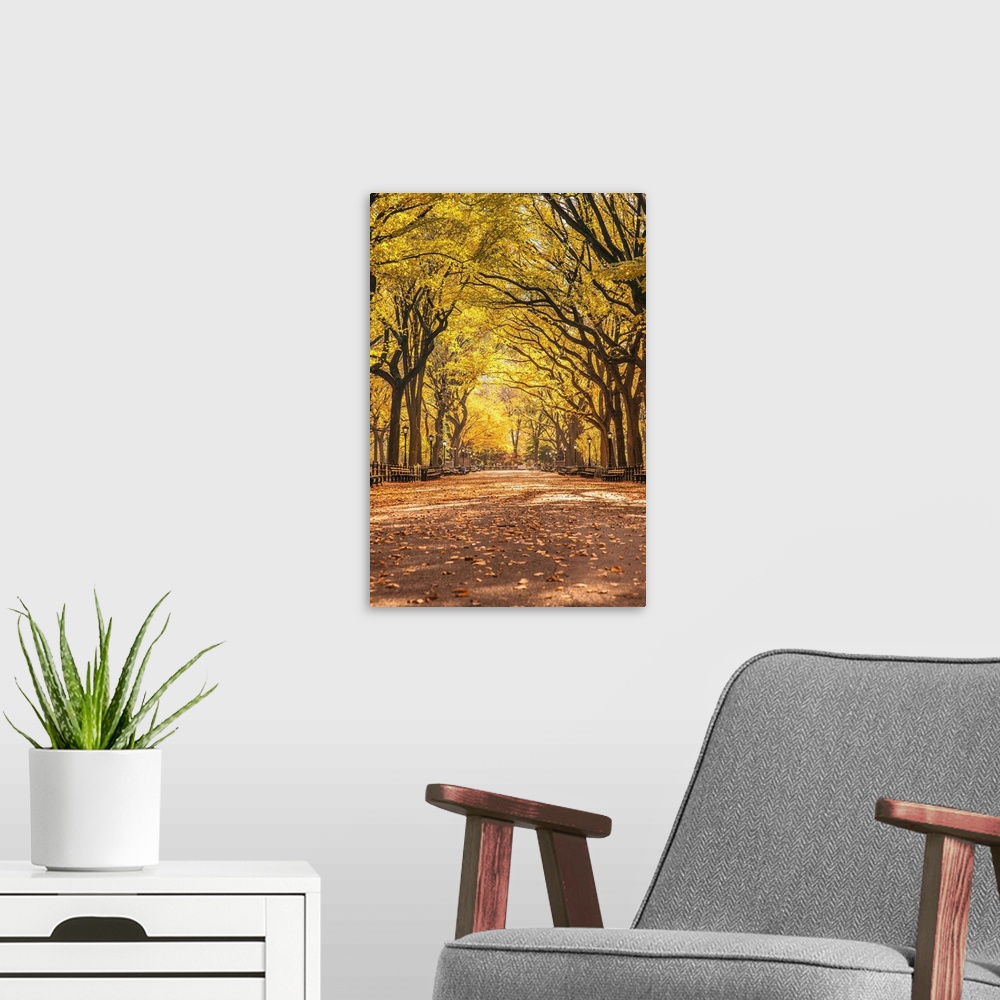 A modern room featuring New York, New York City, Central Park, Elm Tree lined walk