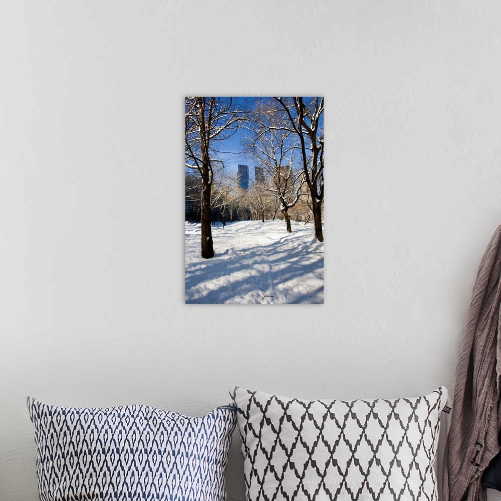 A bohemian room featuring Winter, Central Park, New York City