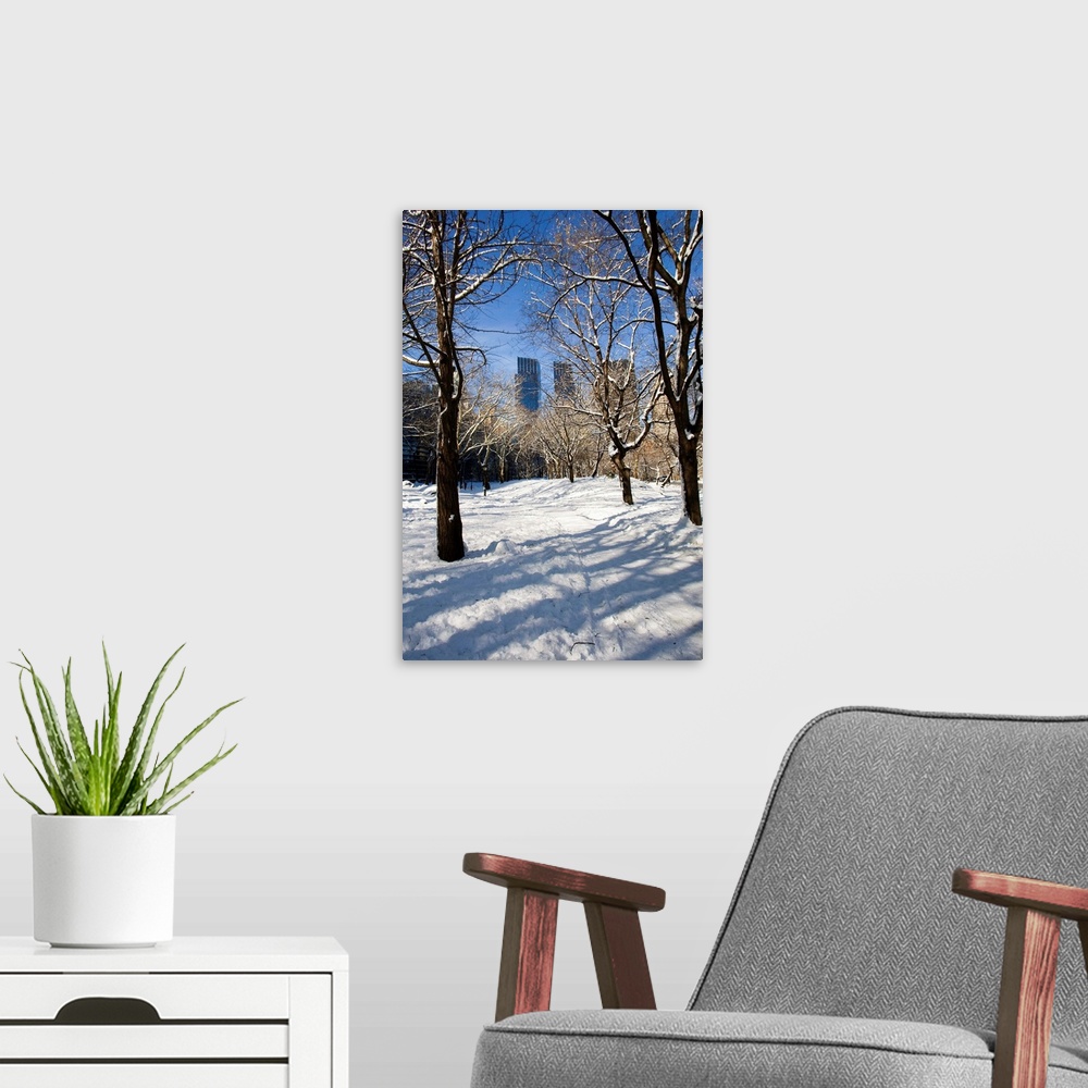 A modern room featuring Winter, Central Park, New York City
