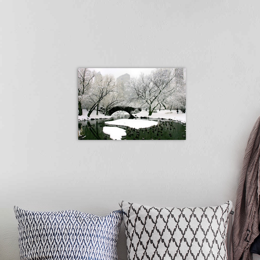 A bohemian room featuring New York, New York City, Winter in Central Park, Pond and Gapstow Bridge.