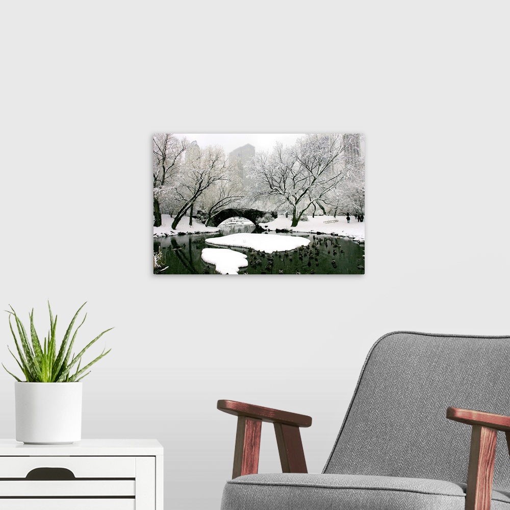 A modern room featuring New York, New York City, Winter in Central Park, Pond and Gapstow Bridge.