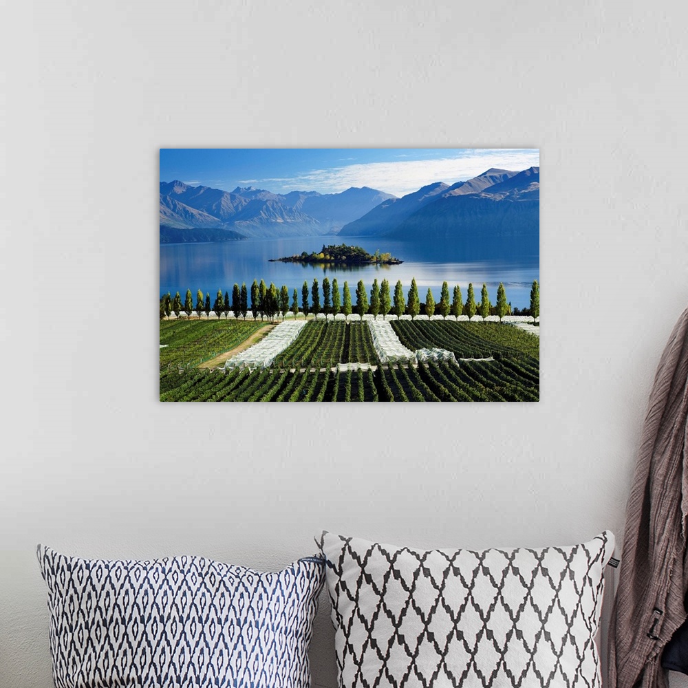 A bohemian room featuring New Zealand, South Island, Clutha-Central Otago, Rippon vineyards and Lake Wanaka