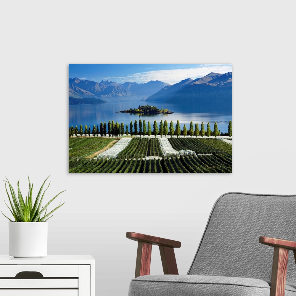A modern room featuring New Zealand, South Island, Clutha-Central Otago, Rippon vineyards and Lake Wanaka