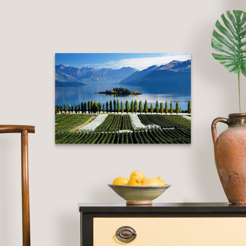 A traditional room featuring New Zealand, South Island, Clutha-Central Otago, Rippon vineyards and Lake Wanaka