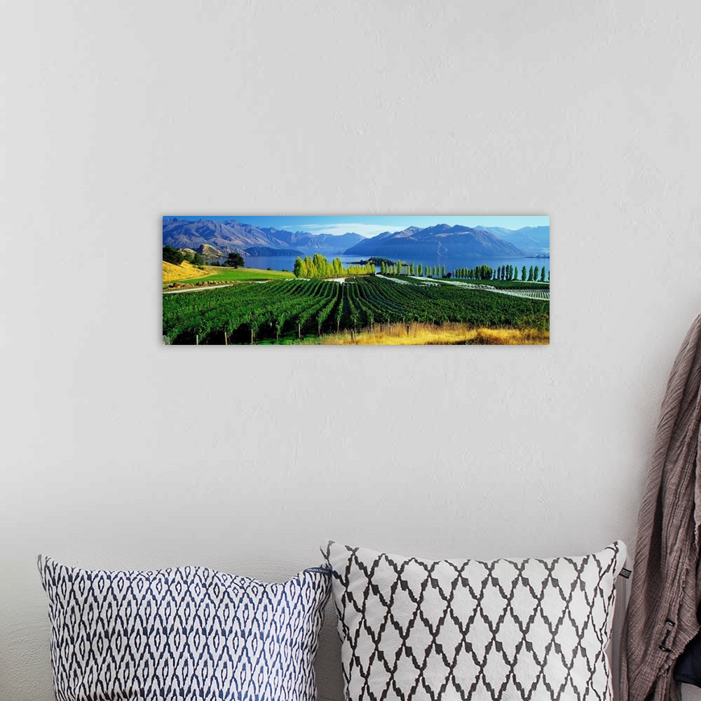 A bohemian room featuring New Zealand, South Island, Lake Wanaka, Rippon vineyards