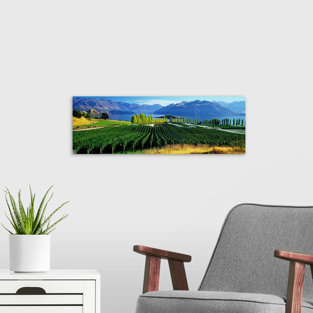 A modern room featuring New Zealand, South Island, Lake Wanaka, Rippon vineyards