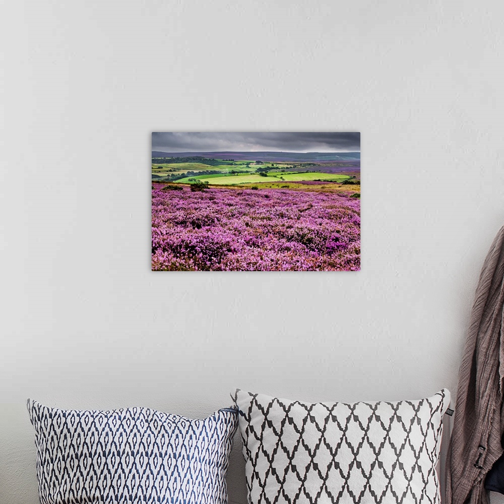 A bohemian room featuring North York Moors National Park, North Yorkshire, Heather in bloom