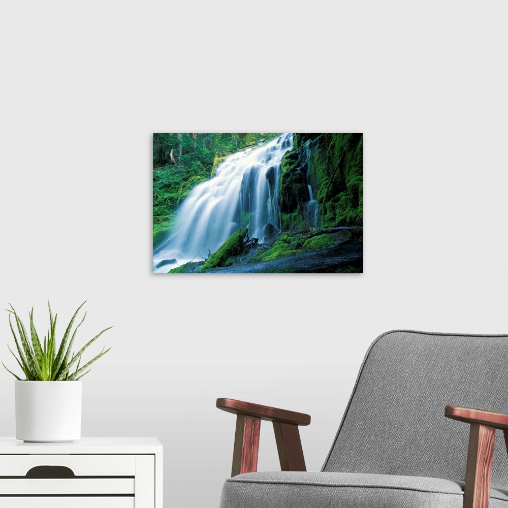 A modern room featuring Oregon, Three sisters wilderness proxy fall