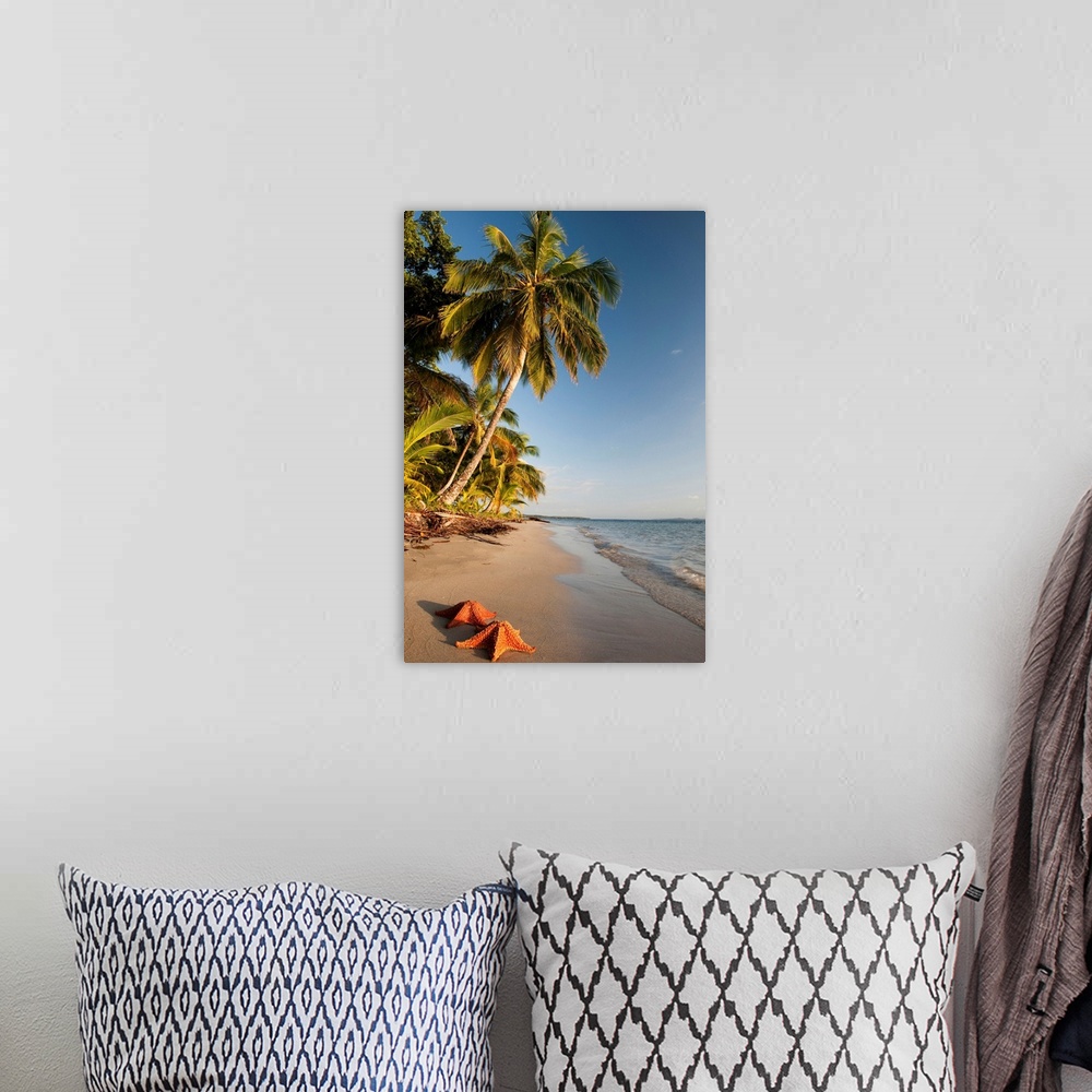 A bohemian room featuring Panama, Bocas del Toro, Colon Island, Starfish on the beach, Starfish beach