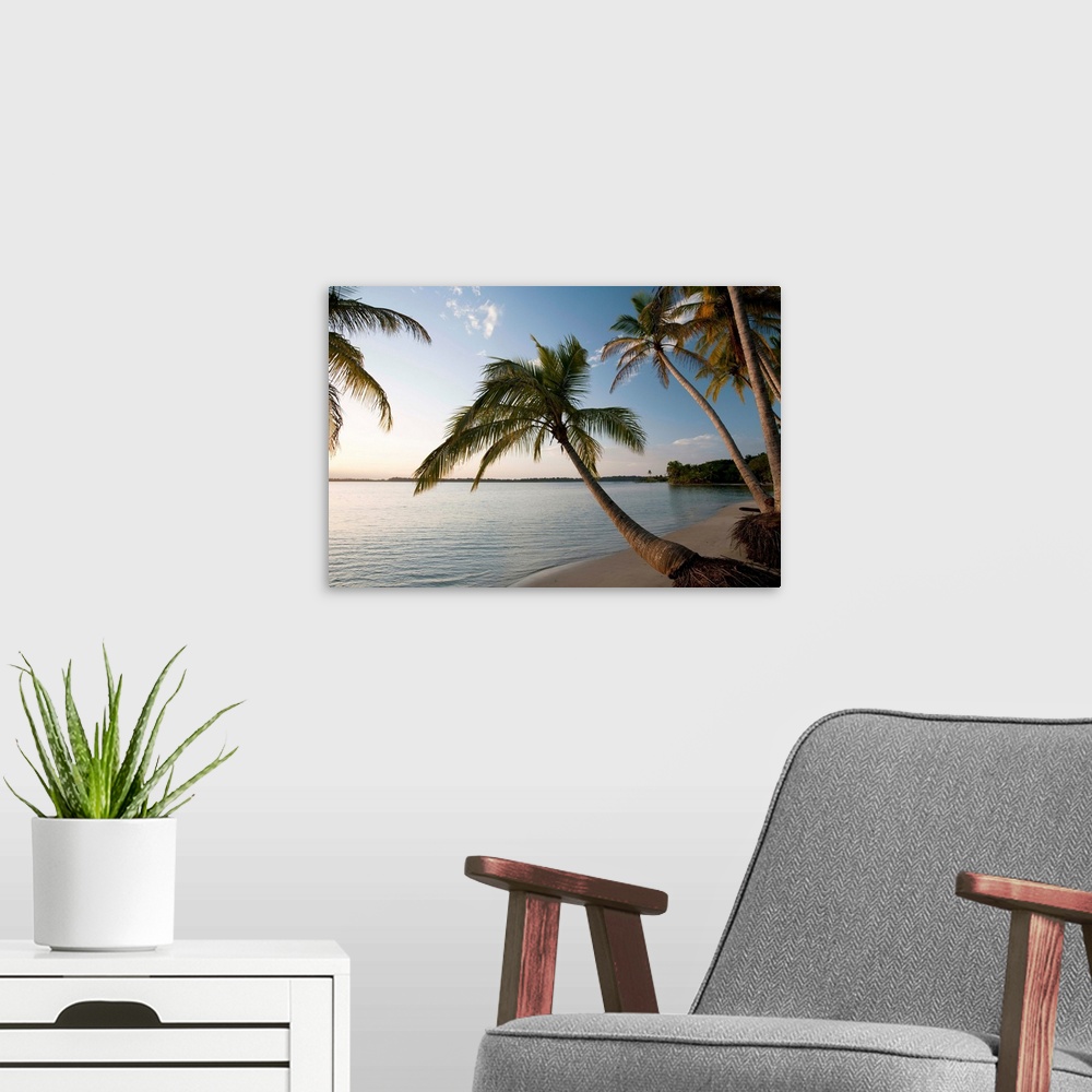 A modern room featuring Panama, Bocas del Toro, Colon Island, Sunset on Starfish beach