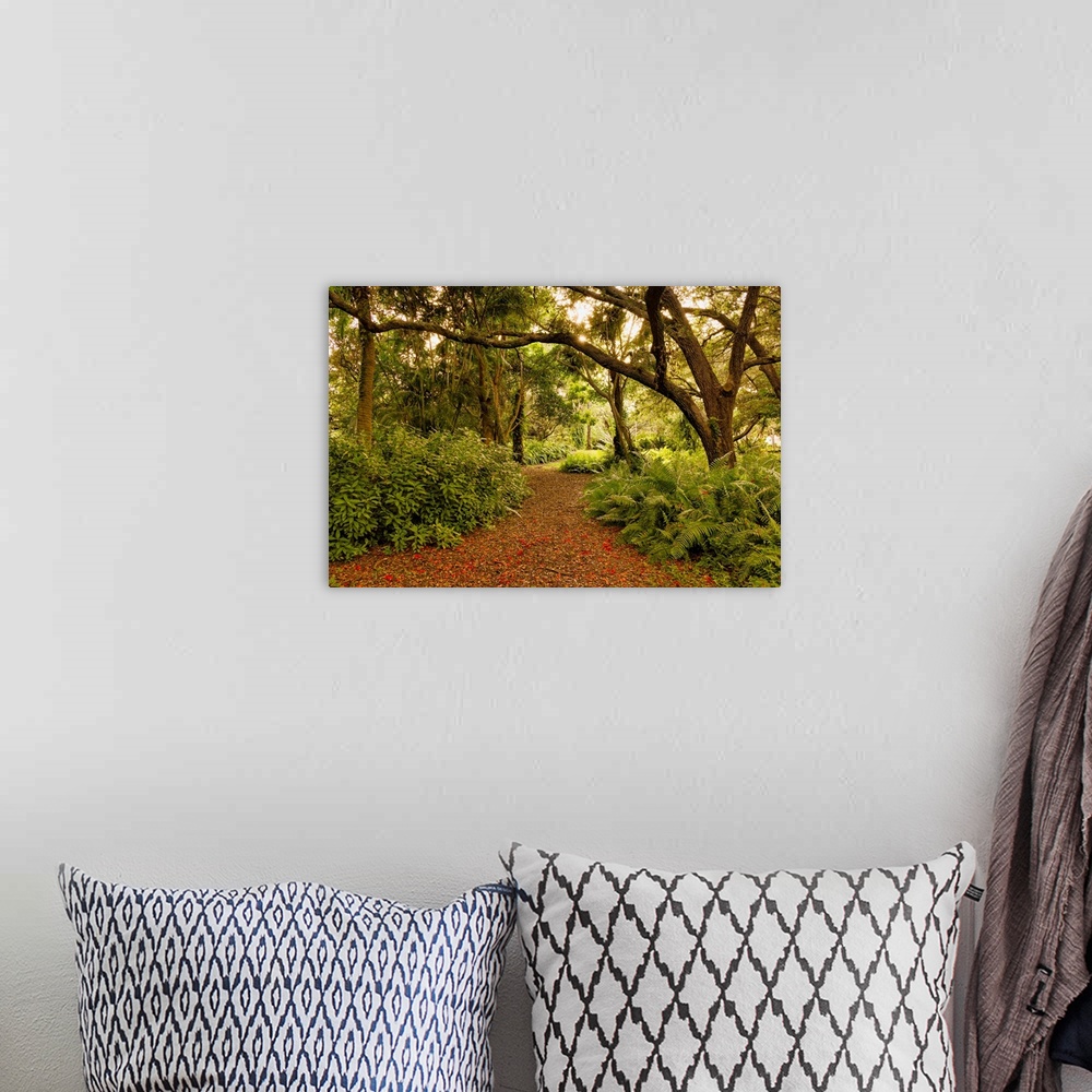 A bohemian room featuring Pathway in forest with trees.