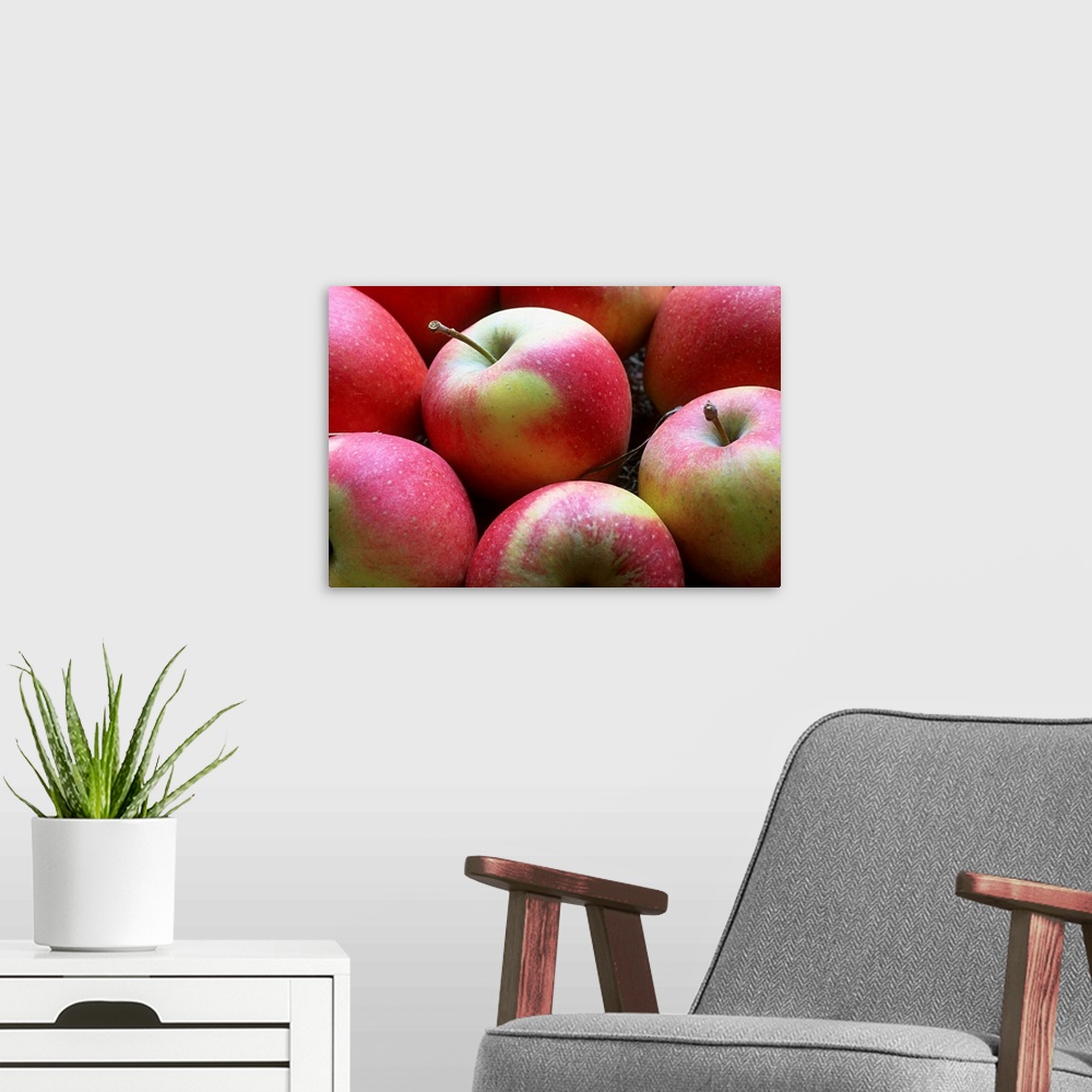 A modern room featuring Pinova apple