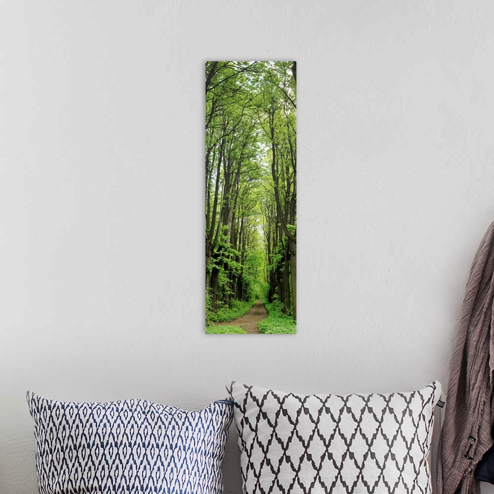 A bohemian room featuring Russia, Moscow Oblast, Moscow, park of estate Kuskovo, vertical panorama
