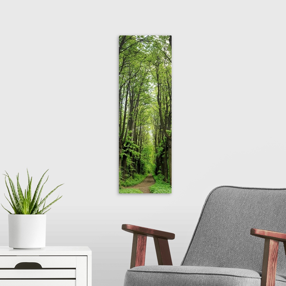 A modern room featuring Russia, Moscow Oblast, Moscow, park of estate Kuskovo, vertical panorama