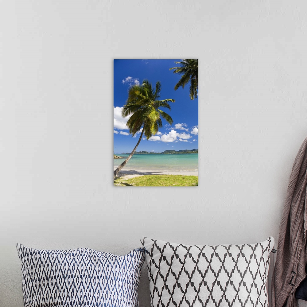 A bohemian room featuring Saint Lucia, Castries, Caribbean, Caribbean sea, Palm trees in Vigie Beach