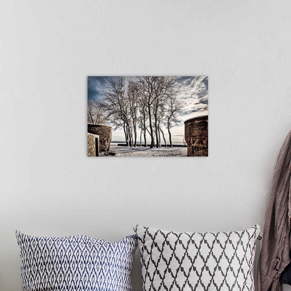A bohemian room featuring Scotland, Highland, Winter scene with trees.