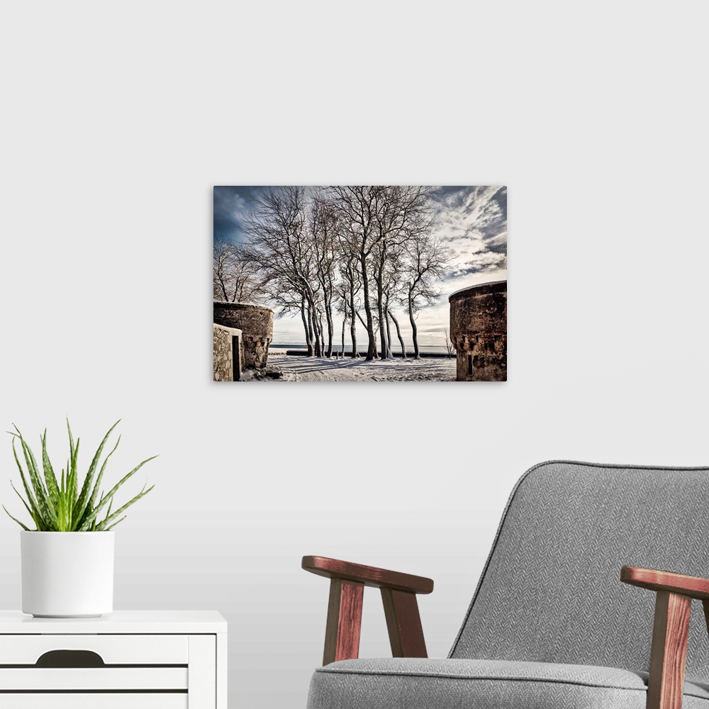 A modern room featuring Scotland, Highland, Winter scene with trees.