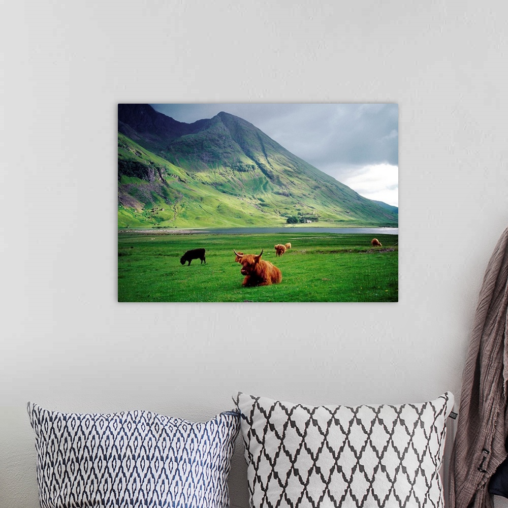 A bohemian room featuring Scotland, Highlands, Glencoe