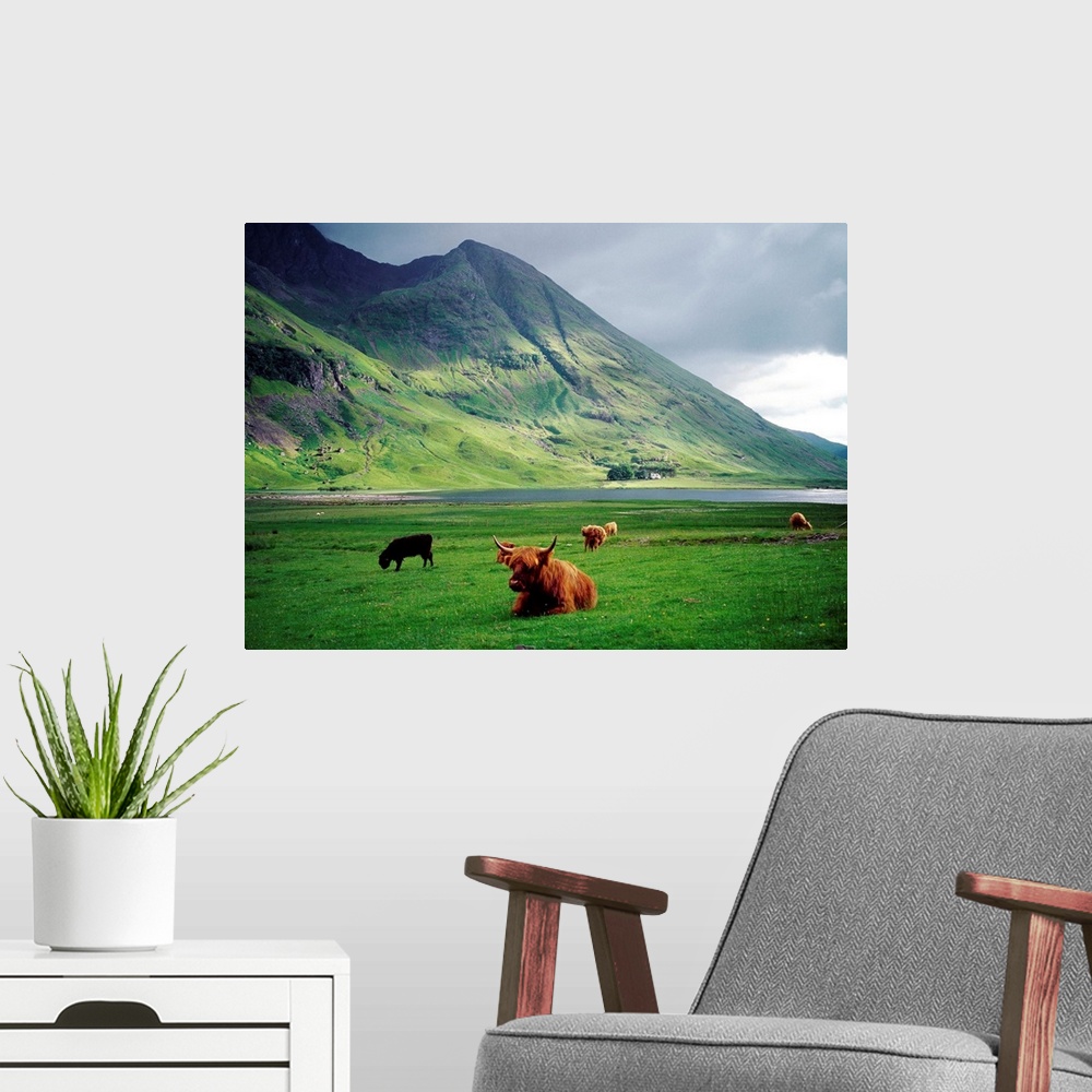 A modern room featuring Scotland, Highlands, Glencoe