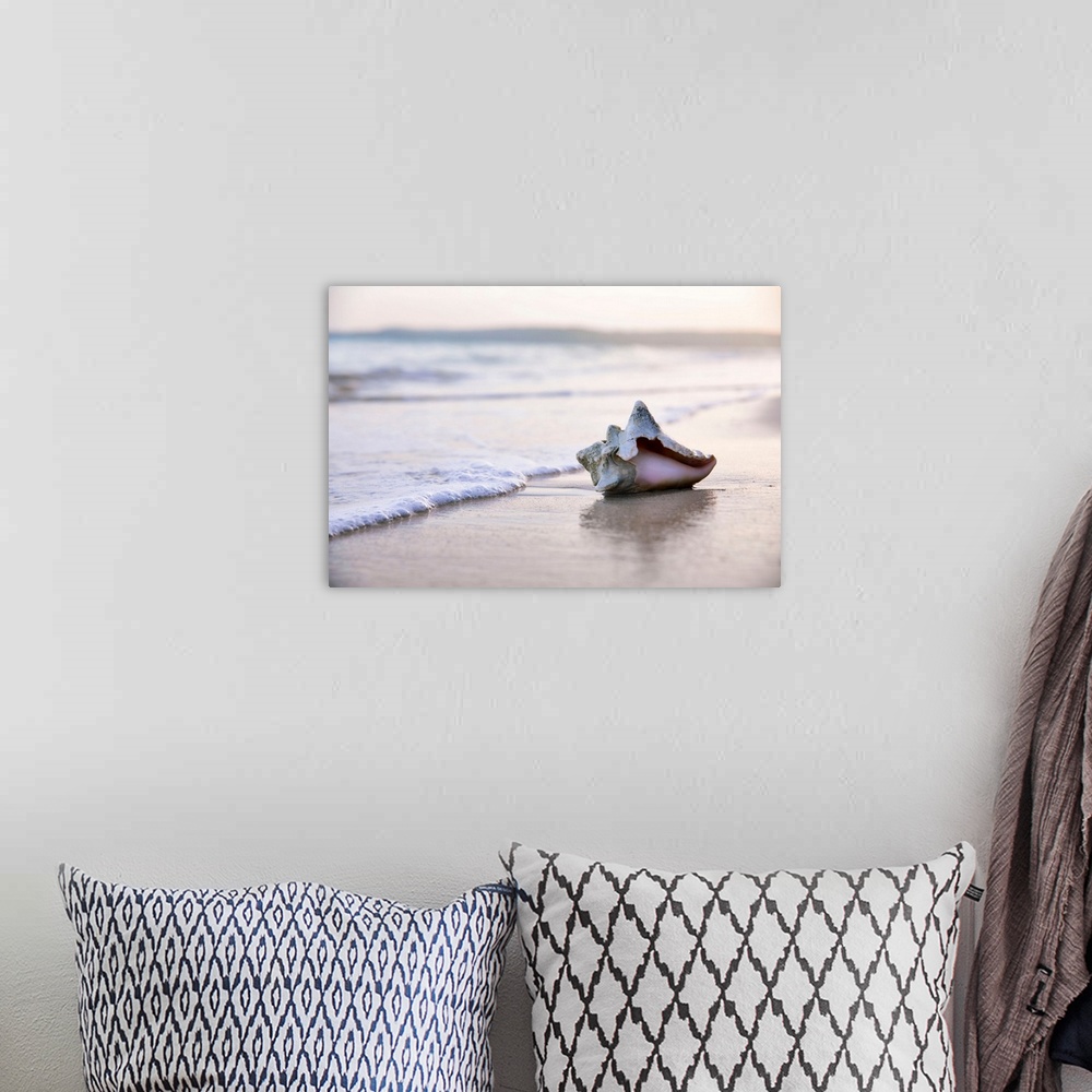 A bohemian room featuring Seashell on beach surf.