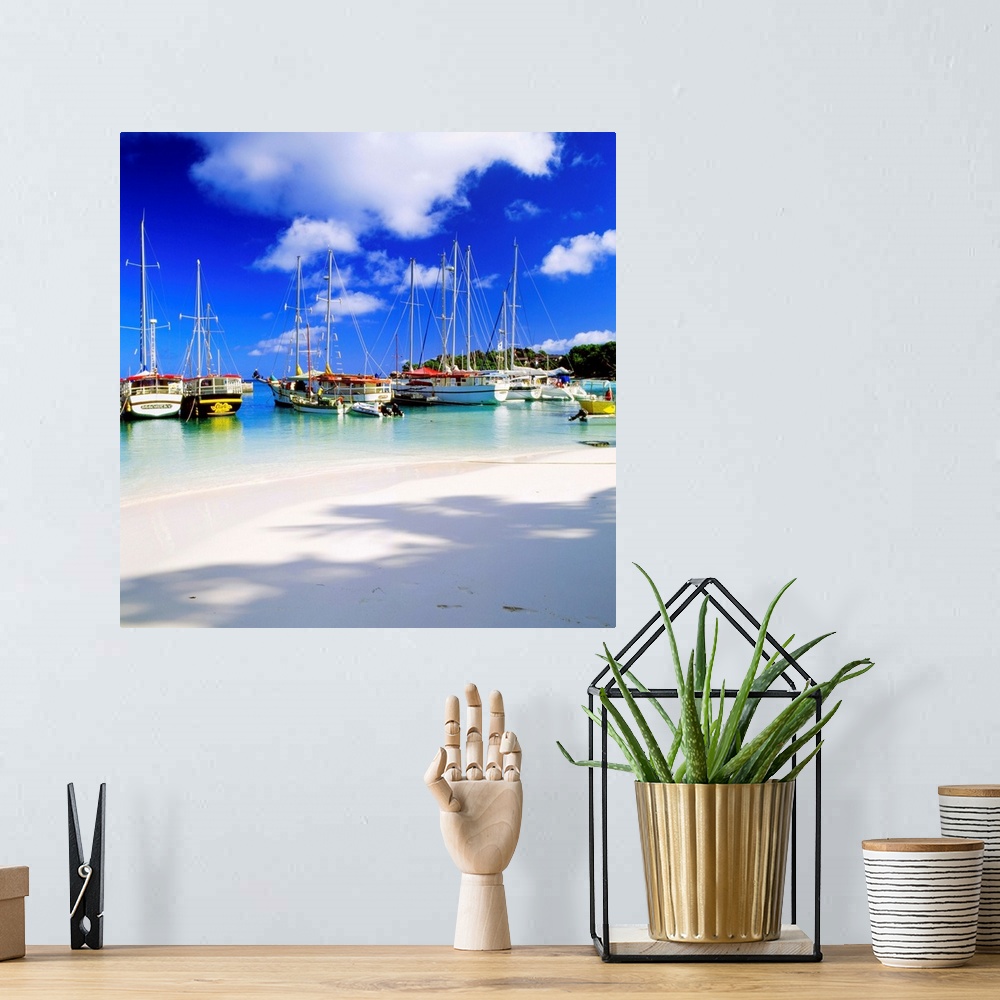 A bohemian room featuring Seychelles, La Digue island, Tropics, Indian ocean, Harbour