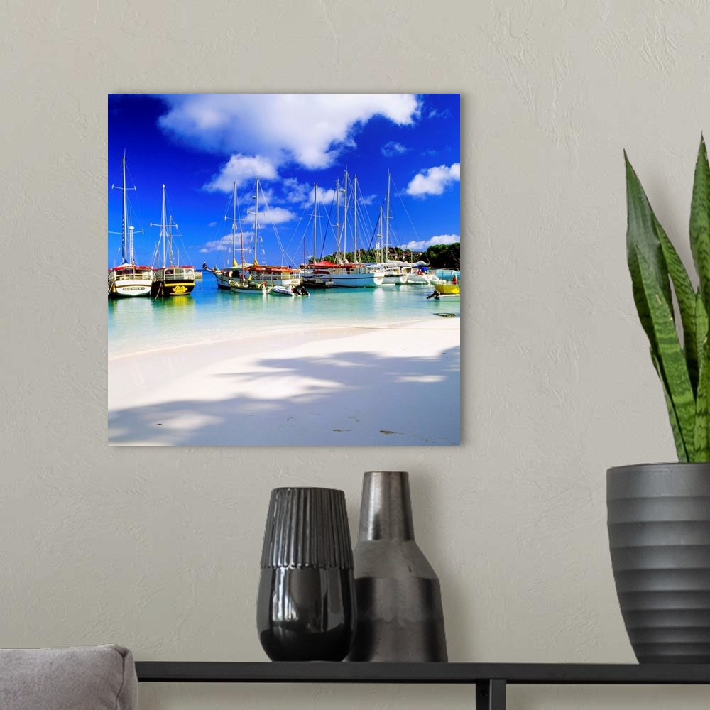 A modern room featuring Seychelles, La Digue island, Tropics, Indian ocean, Harbour