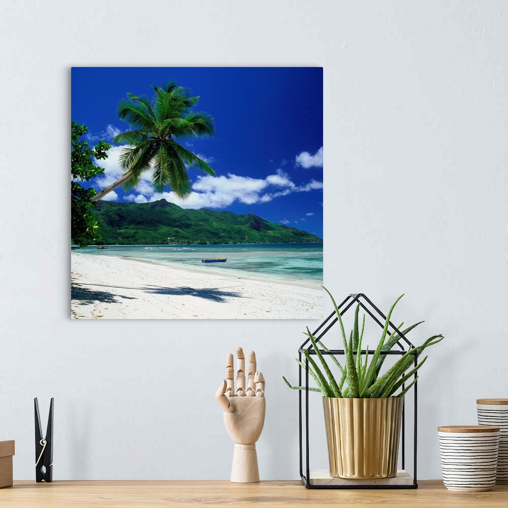A bohemian room featuring Seychelles, Mahe, Beau Vallon, beach