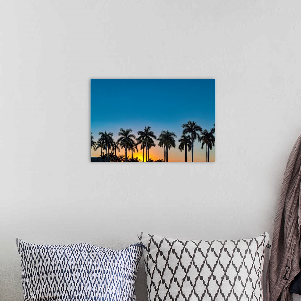 A bohemian room featuring Silhouette of palm trees at sunset.