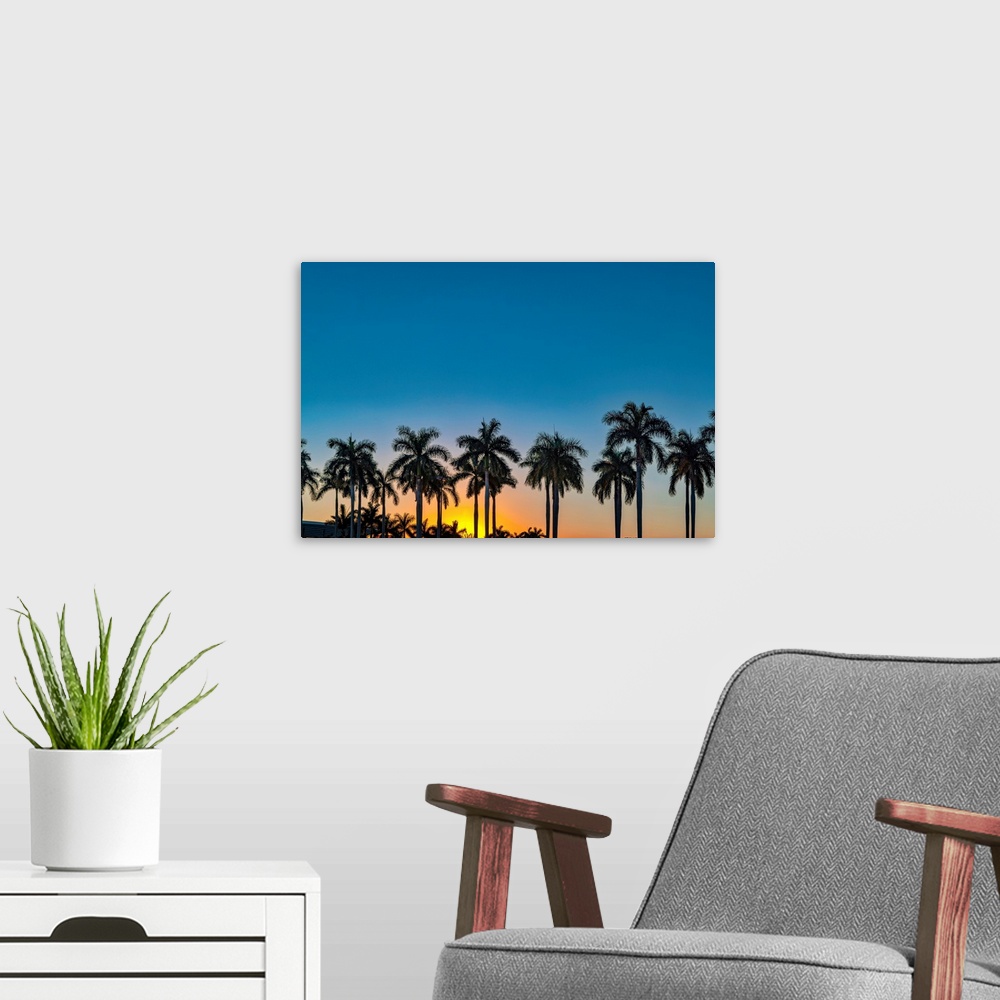 A modern room featuring Silhouette of palm trees at sunset.
