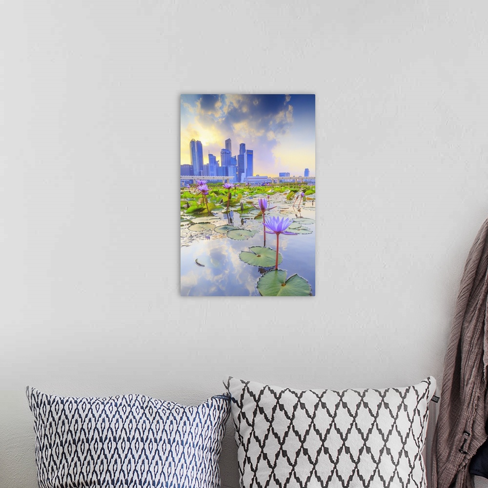A bohemian room featuring Singapore, Singapore City, Water lilies and city skyline at sunset.