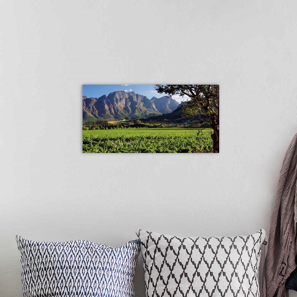A bohemian room featuring South Africa, Western Cape, Franschhoek, Vineyards.