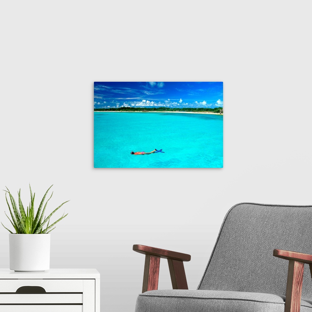 A modern room featuring South America, Venezuela, Los Roques, Los Roques National Park, snorkeling