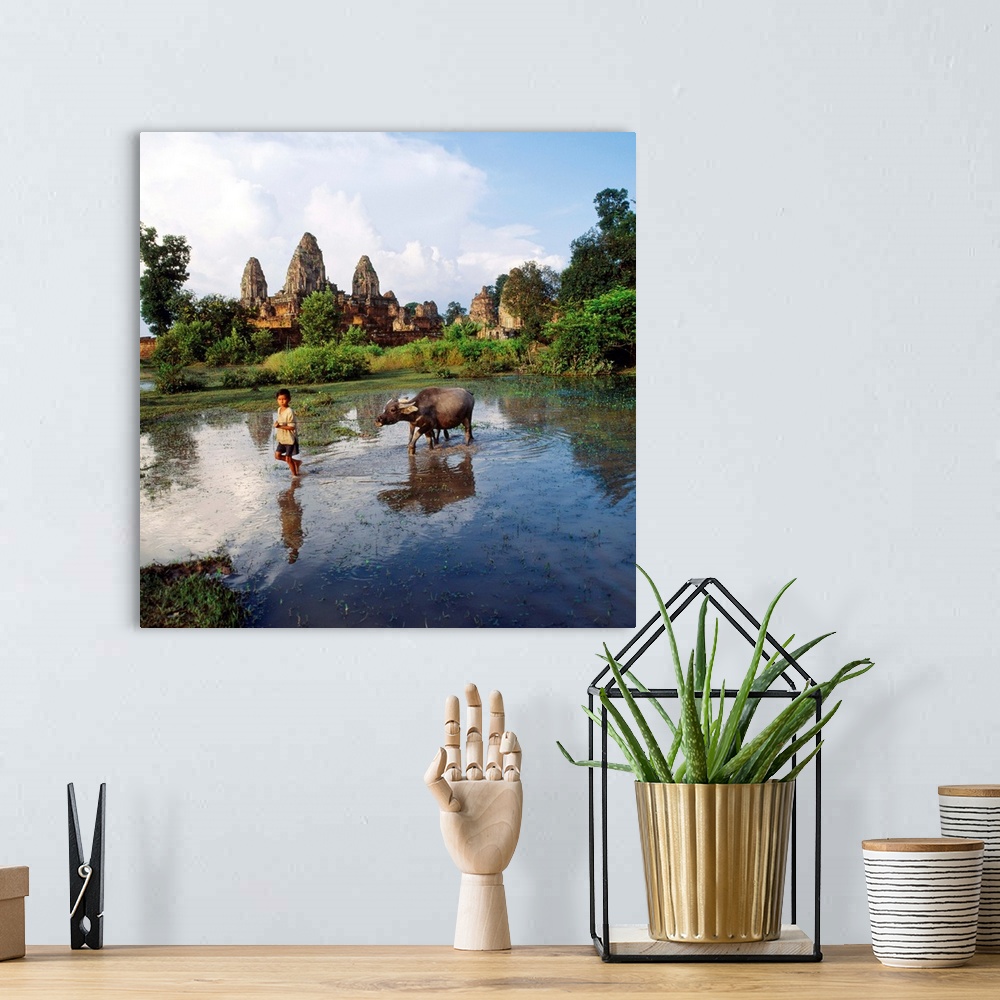 A bohemian room featuring Southeast Asia, Cambodia, Kampuchea, Angkor, Pre Rup Temple, rice paddy