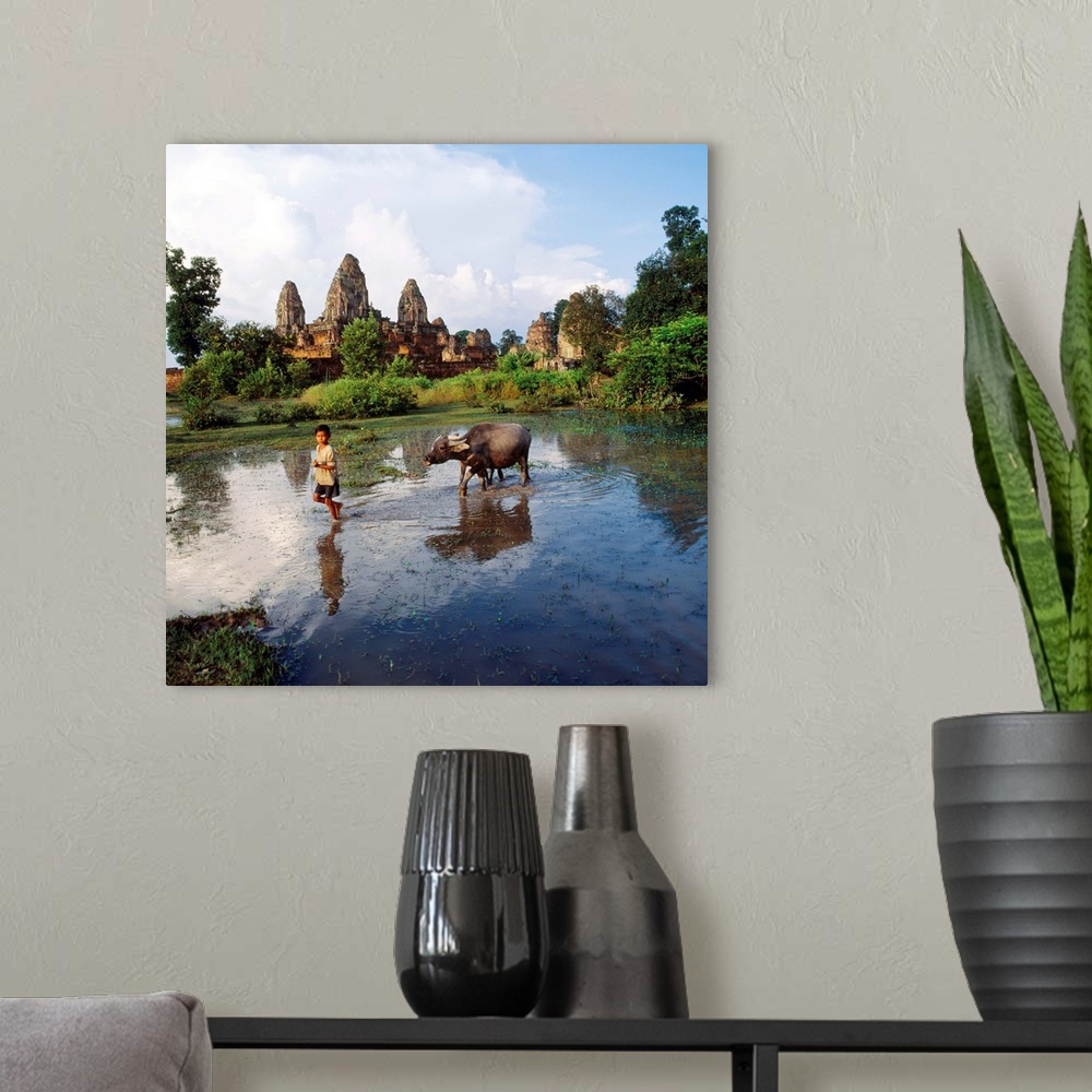 A modern room featuring Southeast Asia, Cambodia, Kampuchea, Angkor, Pre Rup Temple, rice paddy