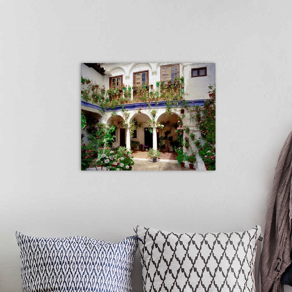 A bohemian room featuring Spain, Andalucia, Typical courtyard (patio)