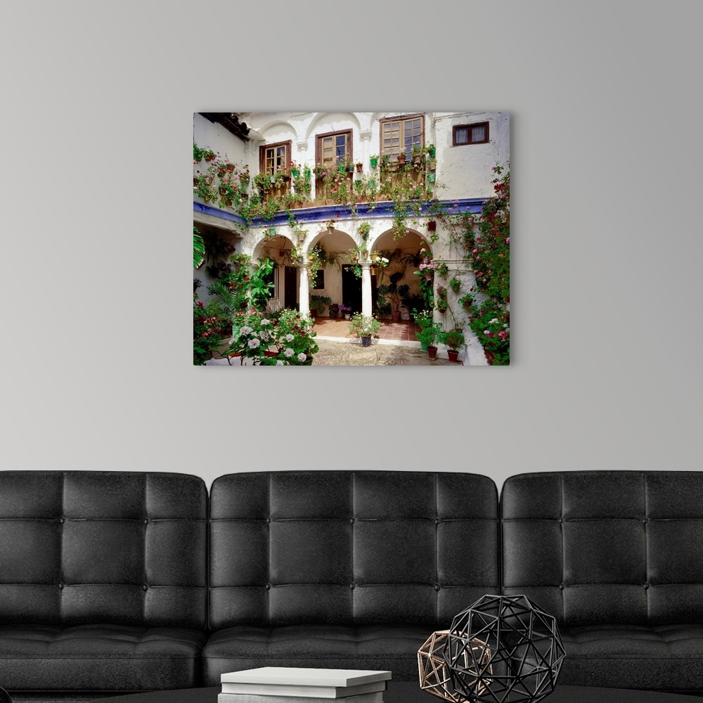 A modern room featuring Spain, Andalucia, Typical courtyard (patio)