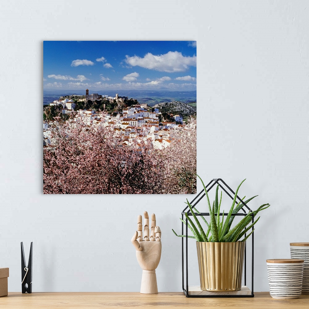 A bohemian room featuring Spain, Andalusia, Casares, Pueblos Blancos, Casares town, almond trees
